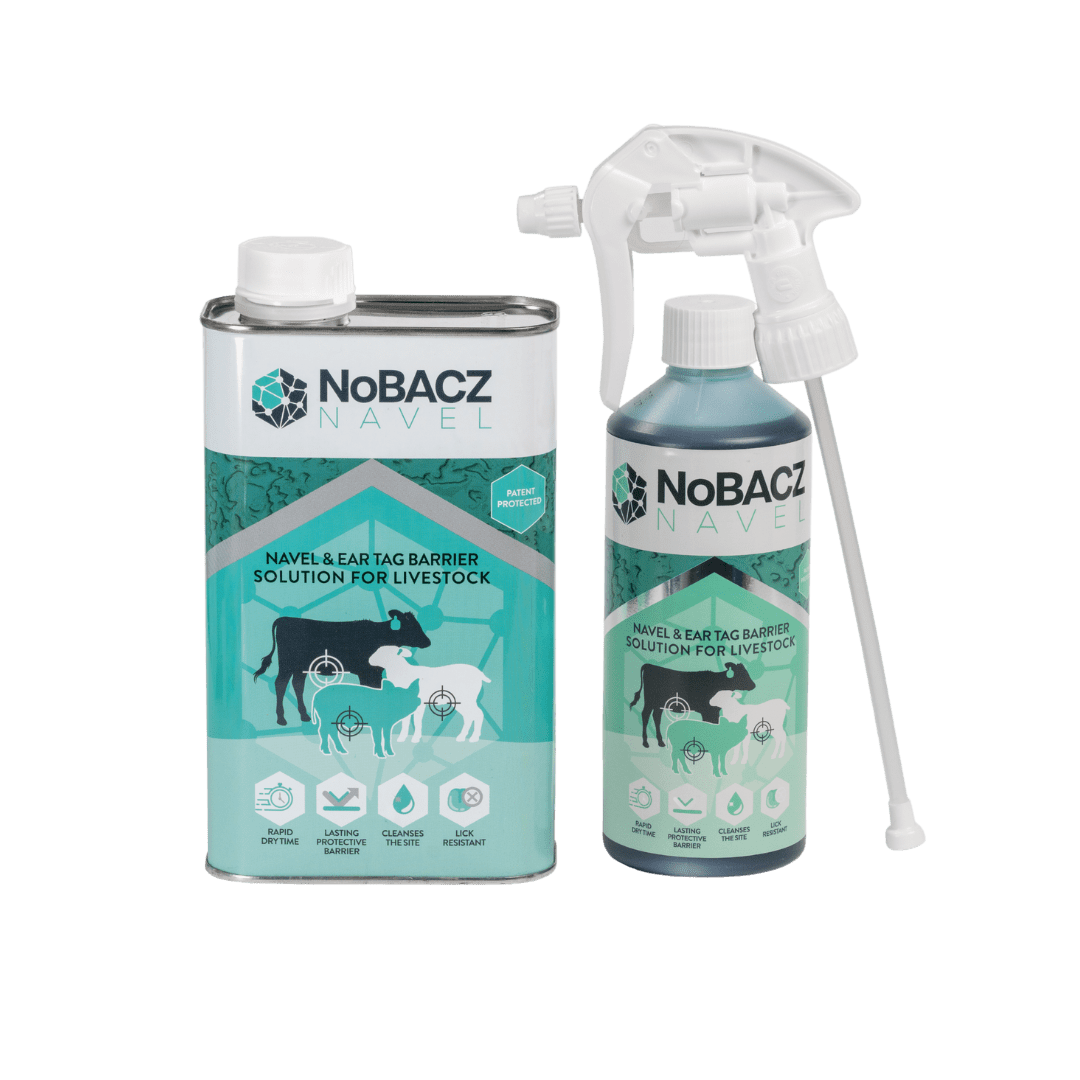 NoBacz Navel | NoBACZ