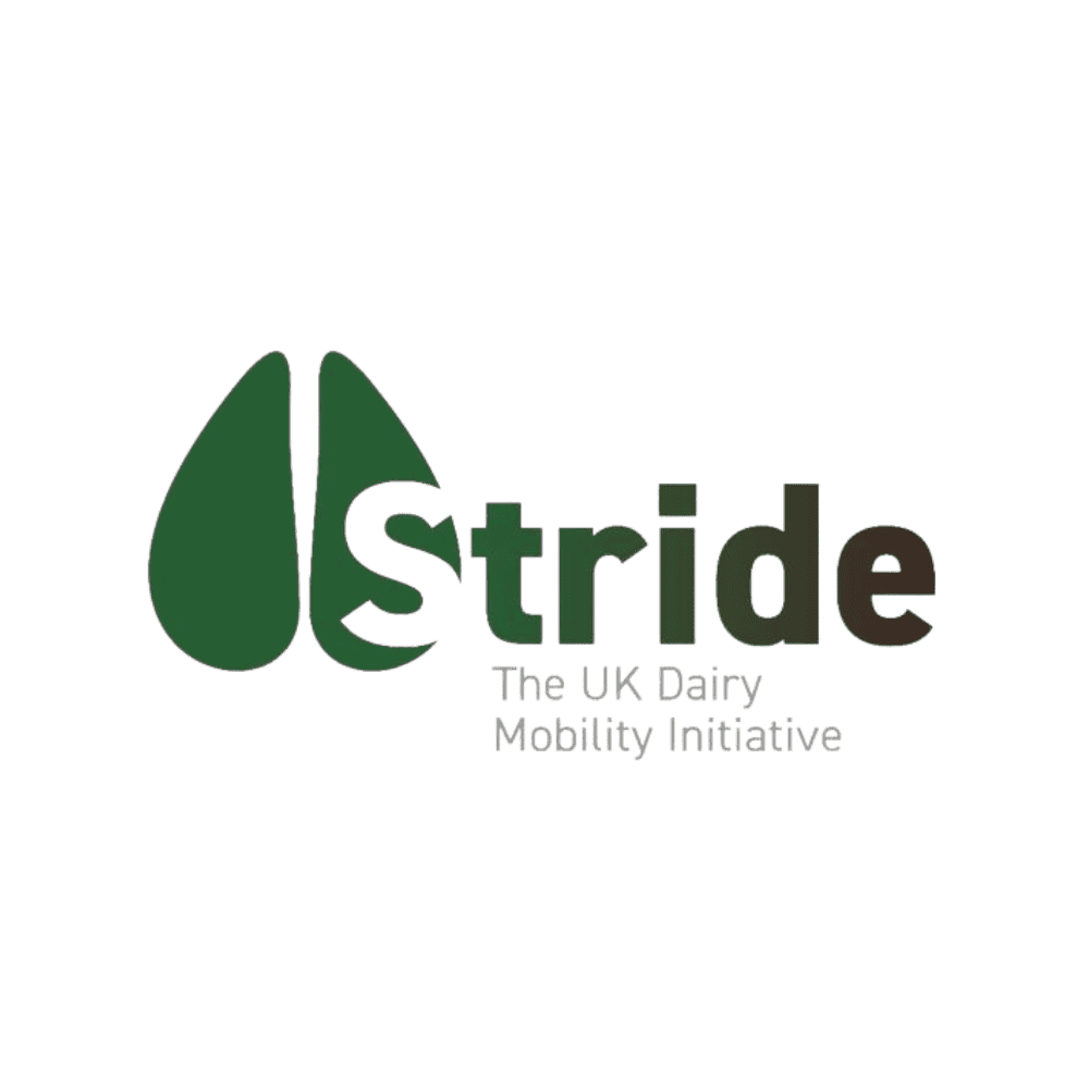 Taking a Confident STRIDE Forward to Tackle Dairy Lameness | NoBACZ